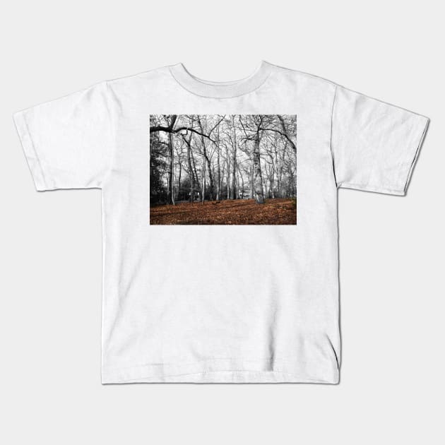 Forest - Dried leaves in brown and branches in shades gray Kids T-Shirt by fantastic-designs